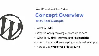 WordPress Overview Theme, Plugin, Site Editor, Customizer, and ORG vs Free