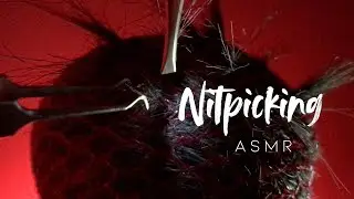 ASMR  I  Scalp inspection, fluffy mic scratching, nit picking (no talking)