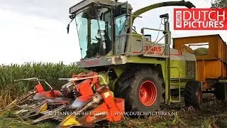 Good old Claas Jaguar 695 SL - International 955 XL - Velkemeen - Mais 2018