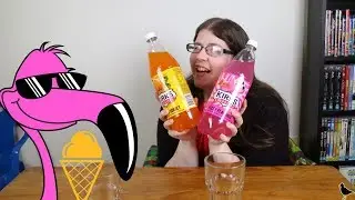 Kirks Surprises Fizzy Flamingo & Summer Sorbet Soft Drink Taste Test | Birdew Reviews