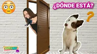 Jugamos al ESCONDITE con mi PERRO CACHORRO Mel