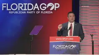 Florida Republicans oust state party chairman facing rape allegations in critical election year