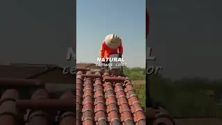 Why Roof Colors Look Different Throughout the Day