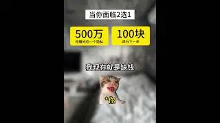 正义的二选一 #二选一 #猫meme日常 #猫meme小剧场 #猫meme #人類迷惑行為 #内容过于真实