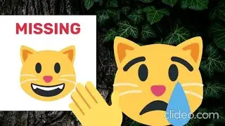 HIS TWIN BROTHER WENT MISSING IN THE WOODS!