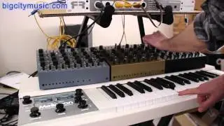 Future Retro MondoVox, Boomstars & Mellotron