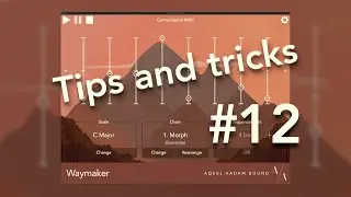 Tips and Tricks: Intermediate resets with Waymaker