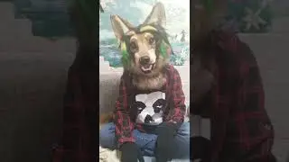 Спать иди #furry #wolf #miky #fursuit #MikyWolfowitch #alone