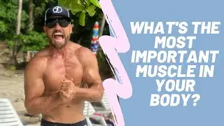 What's the most important muscle in your body? | Optimal Self with Jeremy Herider