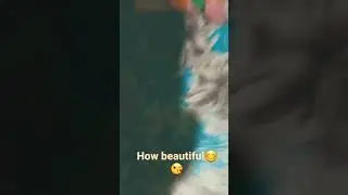 #Cute#beautiful#flower#cuteflower#beautifulflower#sweet#youtube#style#decoration#colourful#begginers