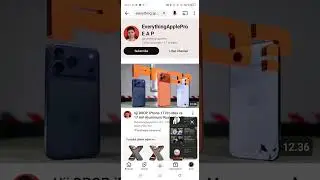 Rip sub count rip 2006-2019