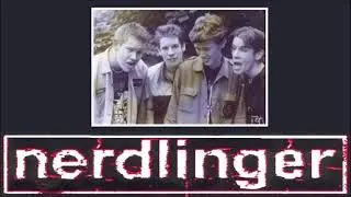Nerdlinger - Roadkill Stew