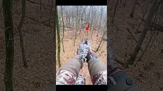 Hunting deer with pistol #hunting #deer#moose#chasse