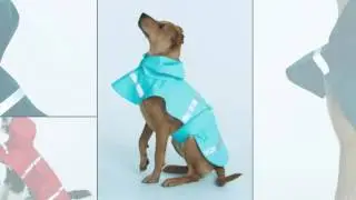 Charles River Apparel Style 1099 New Englander Doggie Rain Jacket