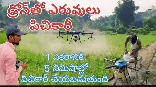 Drone spraying in paddy 🌾🌾#drones#spraying #sales