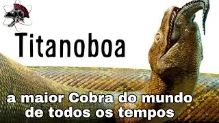 TITANOBOA, a maior cobra do mundo! | Biólogo Henrique o Biólogo das Cobras