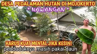 WOW !! DESA PEDALAMAN HUTAN DI MOJOKERTO 