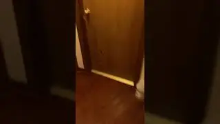 Shining up wood Floors