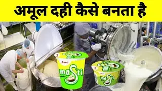 Amul Dahi Factory Mein Kaise Banti Hai | Amul Dahi Kaise Banai Jati Hai | Crazy Trends
