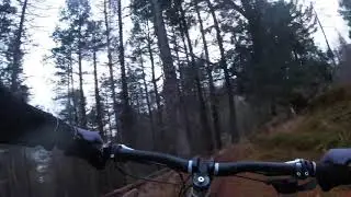 LAGGAN (brown bath into honey monster)