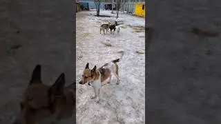 Неужели, так можно
