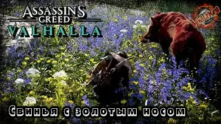 Assassin&rsquo;s Creed Valhalla - Свинья с золотым носом