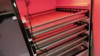 240 eggs pvc boday fully automatic  incubator
