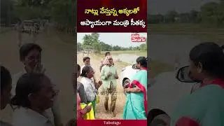 నాట్లు వేస్తున్న అక్కలతో ఆప్యాయంగా మంత్రి సీతక్క | Minister Seethakka | Tolivelugu
