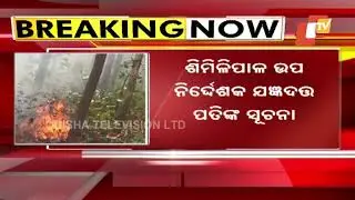 Similipal Forest Fire | Over 1000 Personnel Deployed To Douse Flames