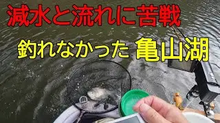 亀山湖・笹川②　へら鮒釣り　2026年1月