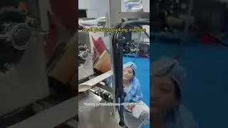 High-accuracy granule packing machine with automatic weighing, filling and sealing #packing