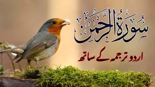 Surah Rahman Urdu Tarjuma k Sath | Qari Al Sheikh Abdul Basit Abdul Samad | MD Quran Tilawat
