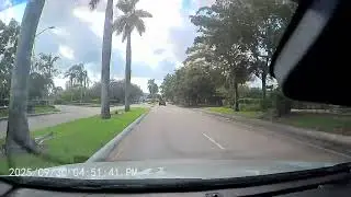 Alligator vs. SUV: Only in Florida (Wait for the Twist!) October 6, 2025(5)