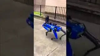 DigiDog testing by NYPD