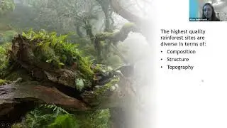 Saving our Rainforests - an introduction to UK temperate rainforest and its management