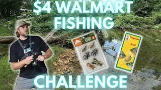 Multi-species creek fishing on a $4 budget