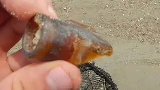 I Discovered Ancient Fossil Bones, Jug and Bottle Mudlark on this River Adventure!
