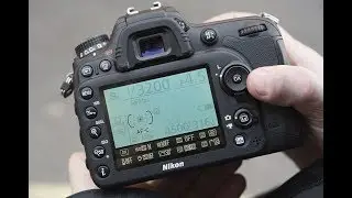 Nikon D7100, revisión en Español