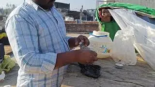 My new Pigeon Vlog 🕊️|| Kbuter ki video😍||#pigeon #pigeonlaver #kabutar #shorts 