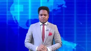 Warka Universal TV  05 02 2026