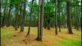 Breakfast in Kalam #jungle_inn | Swat valley Kalam