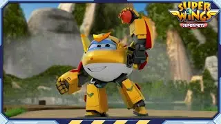 [SUPERWINGS5 HL] The Rain Dragon and more | Superwings | Highlight S5 EP37~40