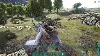 Orp Abuse Server 5 Rag*