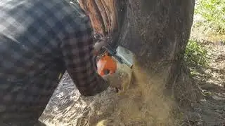STIHL MS382💪