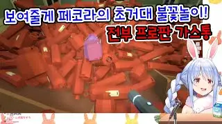 폭죽이 뭔지 모르는 페코라