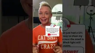 How To Get Cat Urine Smell Out of Carpet | Two Crazy Cat Ladies