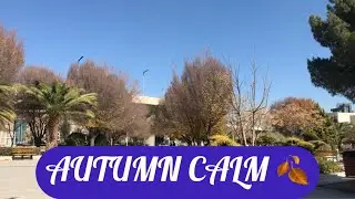 Autumn Park Serenity 🍂 Golden Trees, Blue Sky & Calm Breeze | Deep Relaxatio