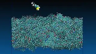 Polar oil molecule interaction with frozen kerogen (1ns)