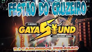 GAYA SOUND - FESTÃO DO CRUZEIRO - DJ CARLINHOS PRESSÃO