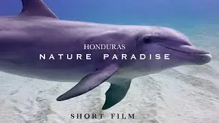 The Magic of Honduras | Nature Paradise